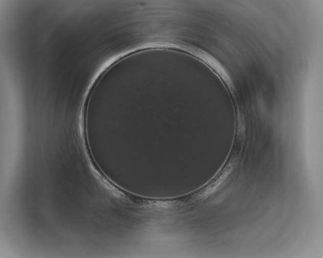 X0000111640958200907171544