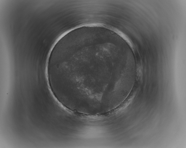 X0000111640959200907171544