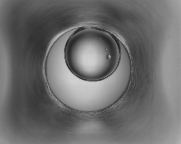 X0000111640960200907171544