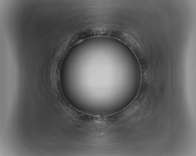 X0000111640961200907171543