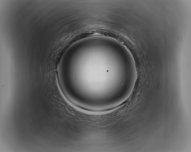 X0000111640965200907171543