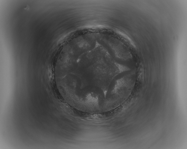 X0000111640966200907171543