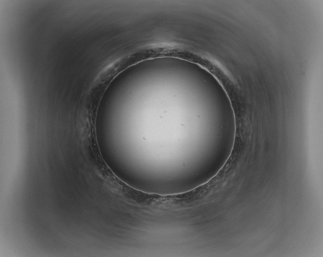 X0000111640967200907171543