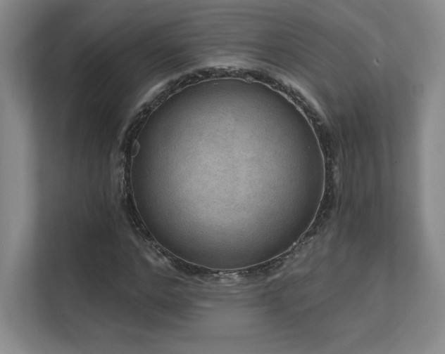 X0000111640968200907171543