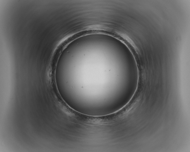 X0000111640971200907171543