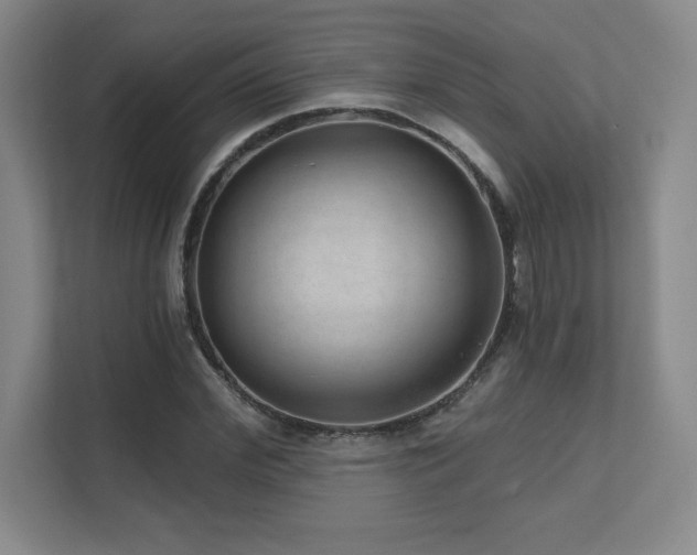 X0000111640972200907171543