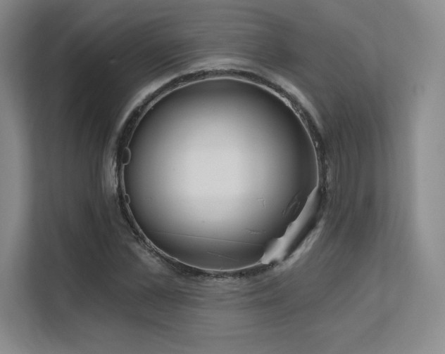 X0000111640973200907171543