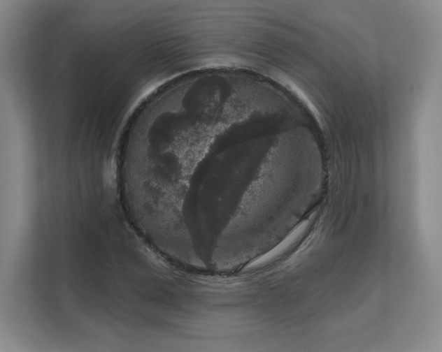 X0000111640975200907171543
