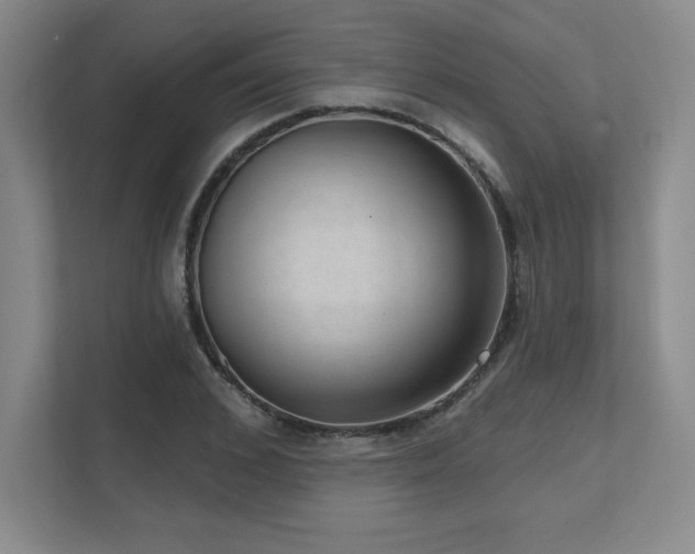 X0000111640976200907171543