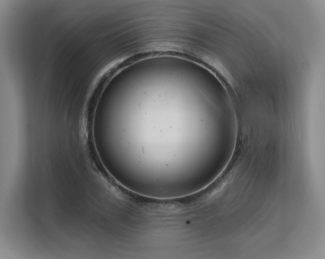 X0000111640979200907171543