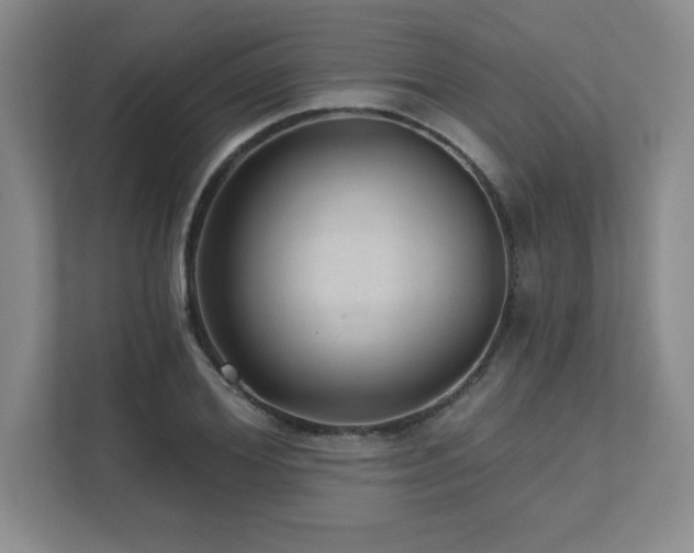 X0000111640980200907171543