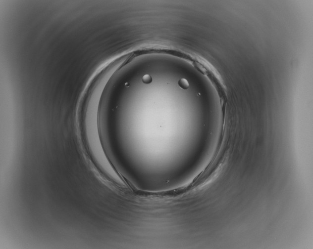 X0000111640981200907171543