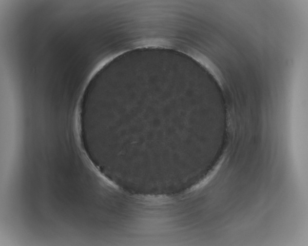 X0000111640983200907171543