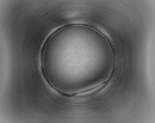 X0000111640984200907171543