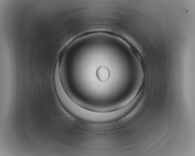 X0000111640985200907171543