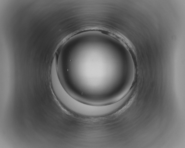 X0000111640993200907171543