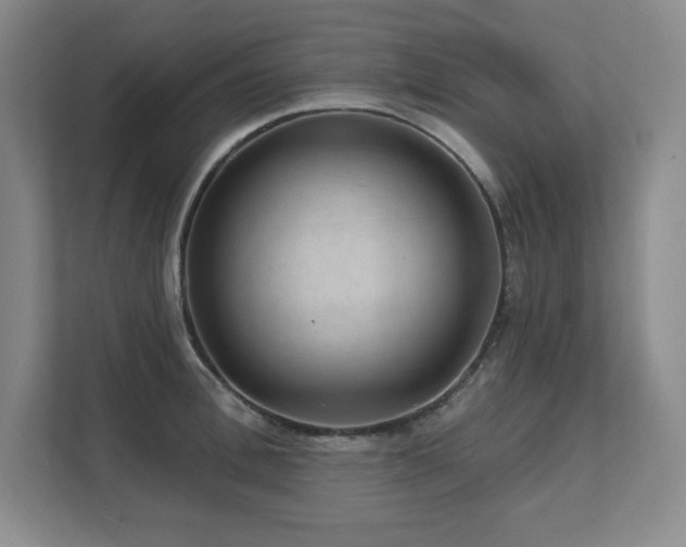 X0000111640996200907171543