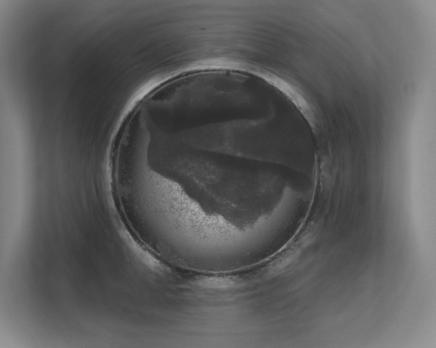 X0000111640998200907171543