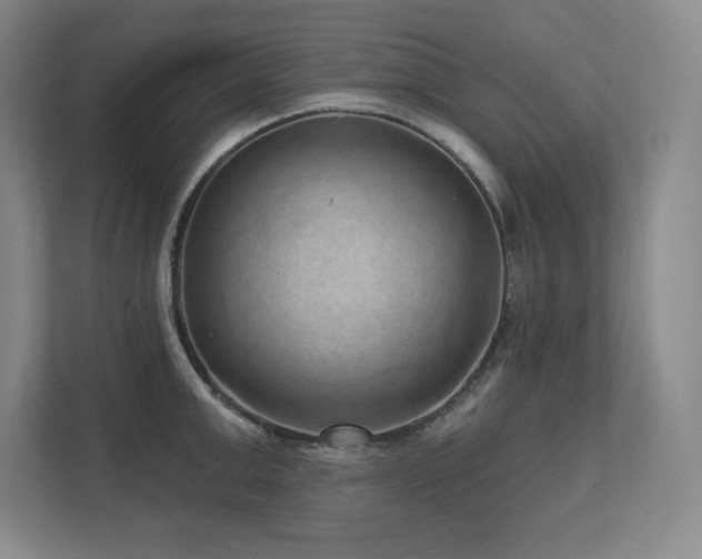 X0000111640999200907171543