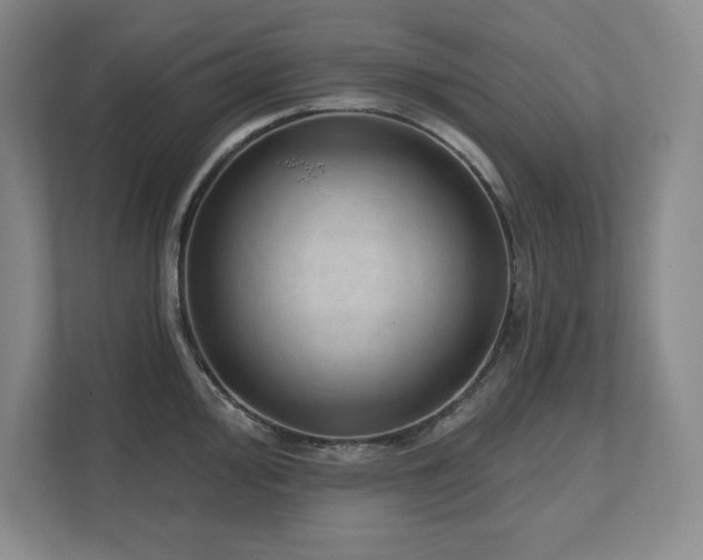 X0000111641000200907171543
