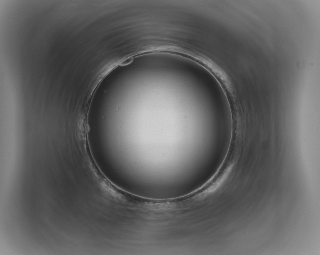 X0000111641001200907171543