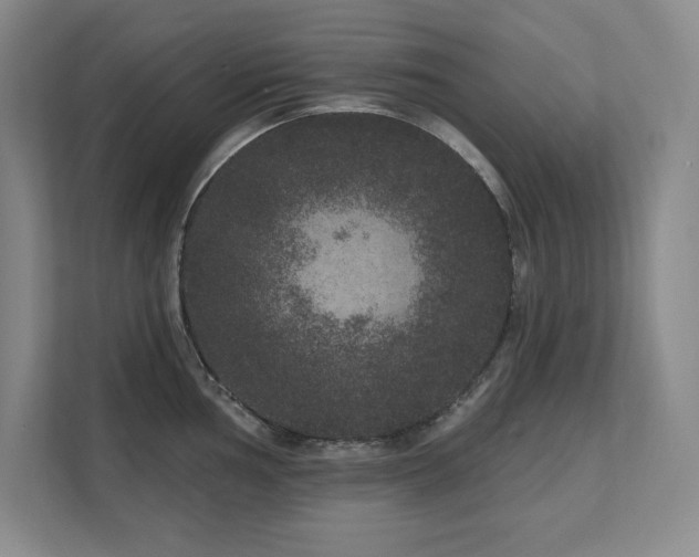X0000111641002200907171543