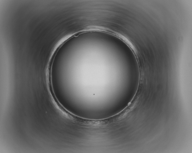 X0000111641003200907171543