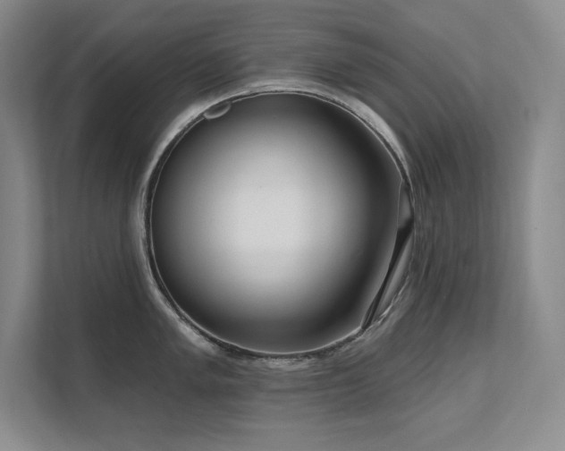 X0000111641005200907171543