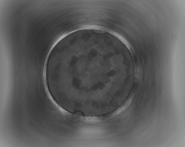 X0000111641007200907171543