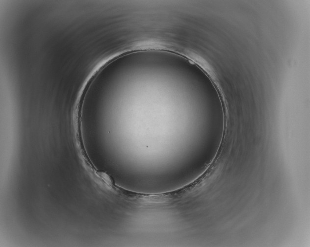 X0000111641008200907171543
