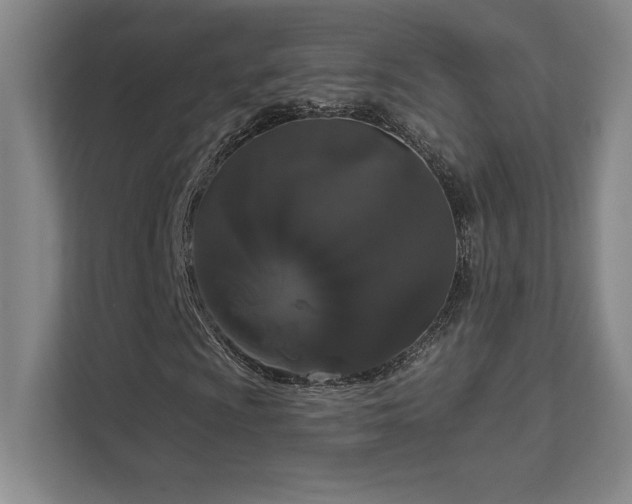 X0000111641009200907171542