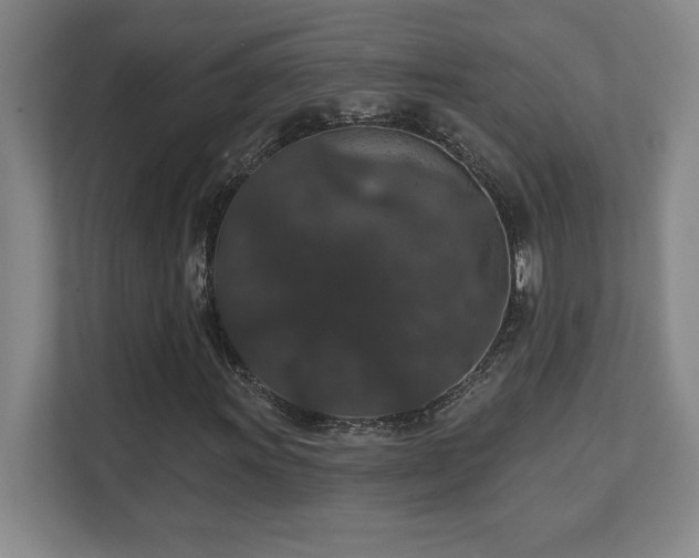 X0000111641011200907171542
