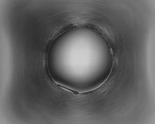 X0000111641012200907171542