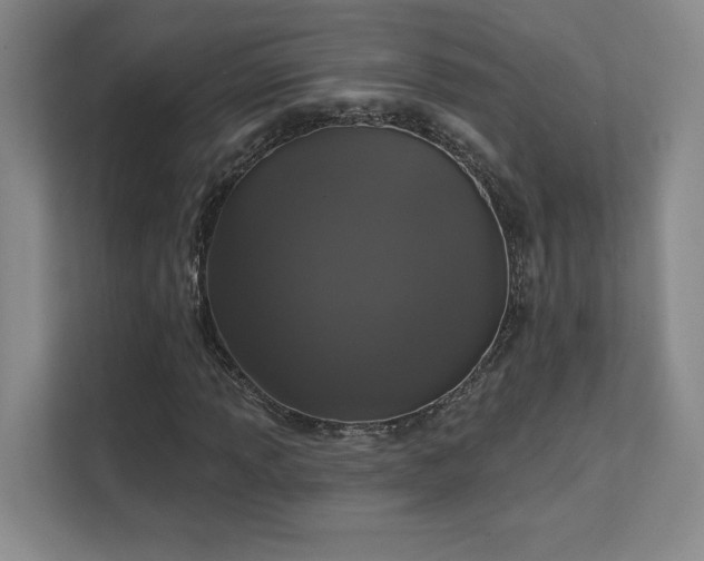X0000111641013200907171542