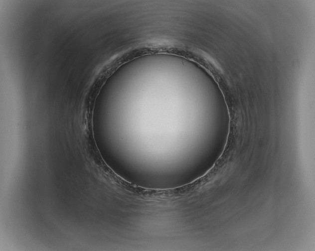 X0000111641016200907171542