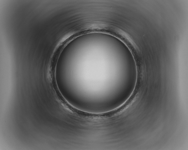 X0000111641018200907171542