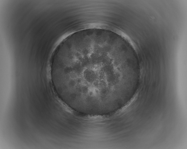 X0000111641019200907171542
