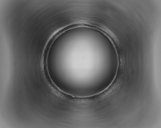 X0000111641020200907171542