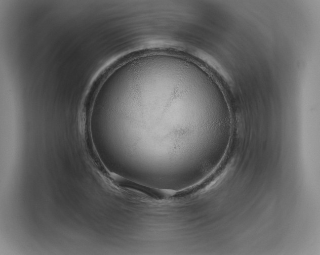 X0000111641021200907171542