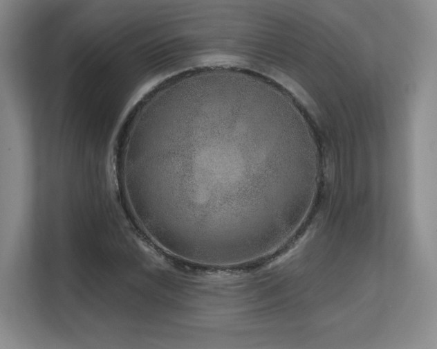 X0000111641022200907171542