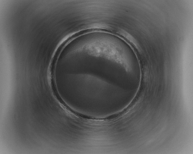 X0000111641024200907171542