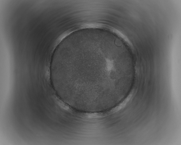 X0000111641025200907171542