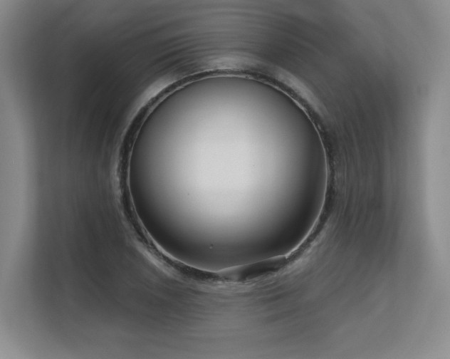 X0000111641026200907171542