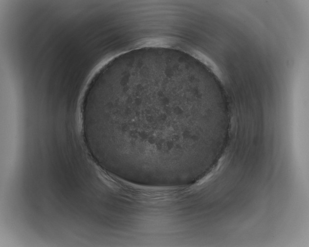 X0000111641027200907171542