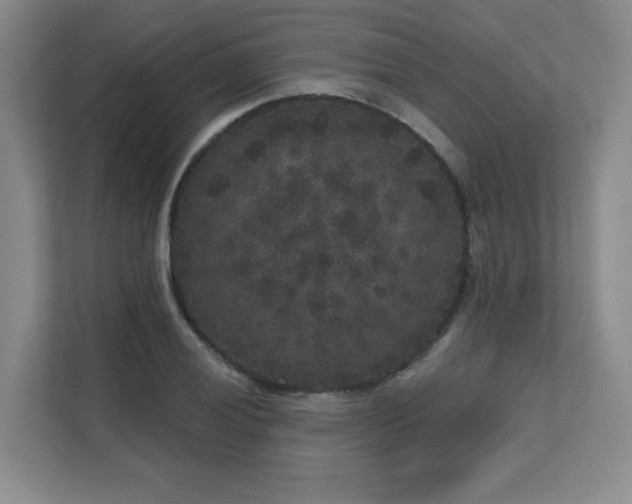 X0000111641028200907171542