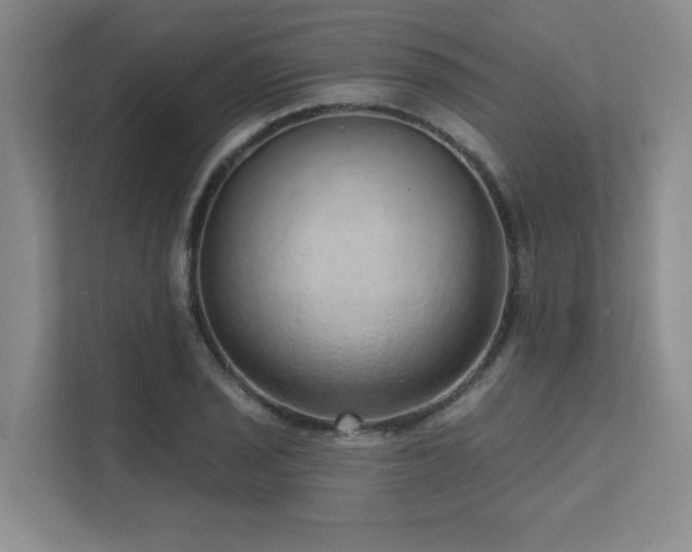 X0000111641029200907171543