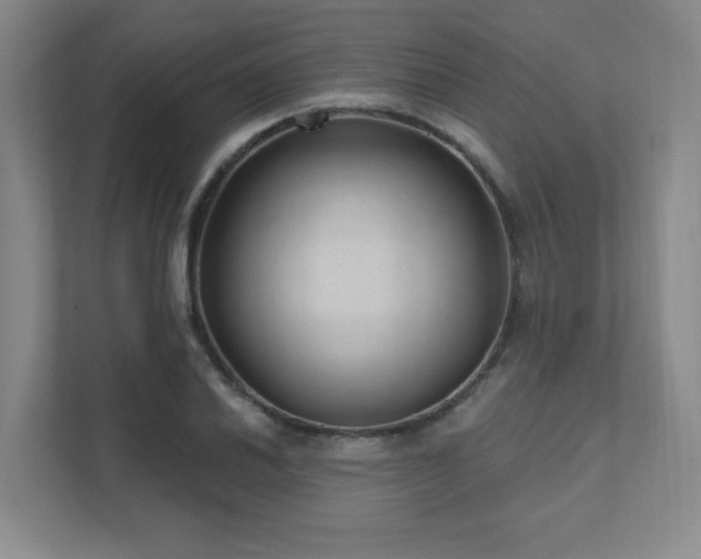 X0000111641030200907171543