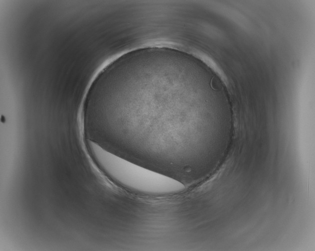 X0000111641032200907171543