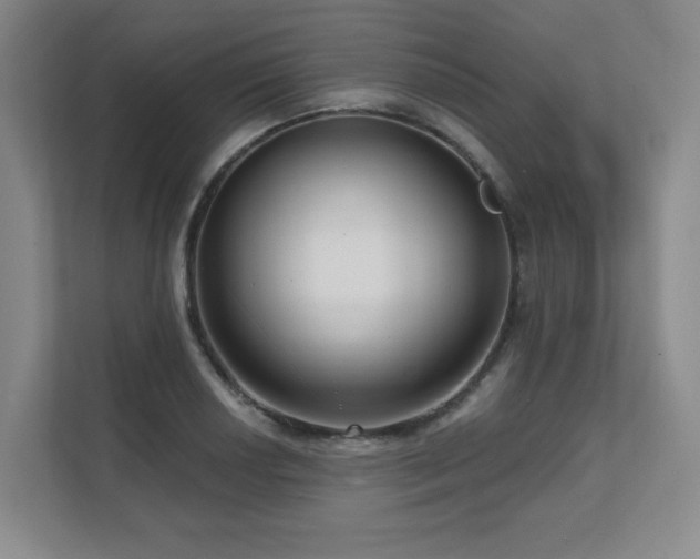 X0000111641034200907171543