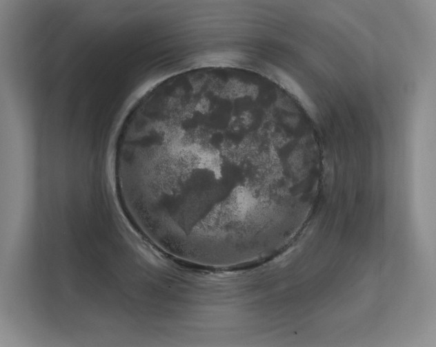X0000111641035200907171543